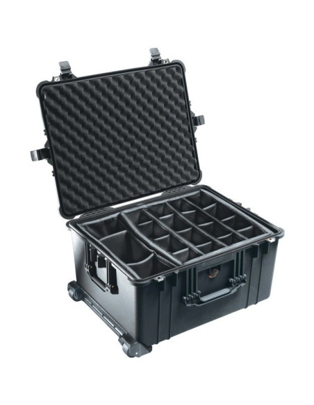 Peli 1624 Case con divisori
