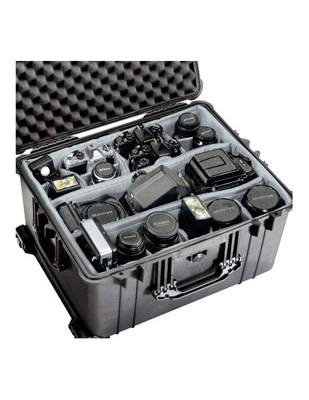 Peli 1624 Case con divisori