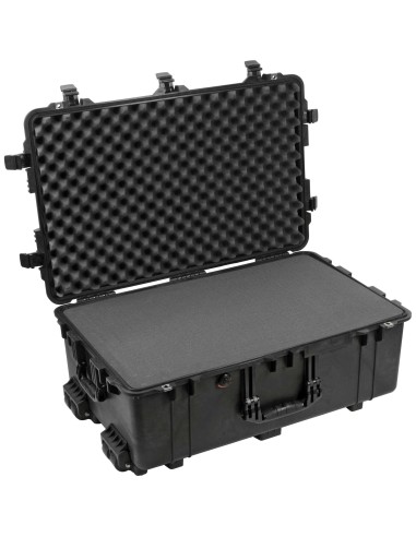 Peli 1650 transport Case