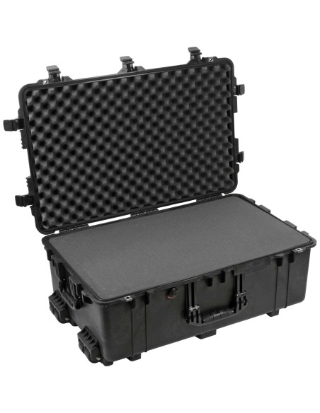 Peli 1650 transport Case