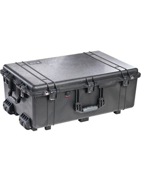 Peli 1650 transport Case