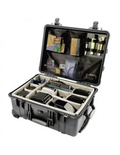 Peli 1564 Case 2